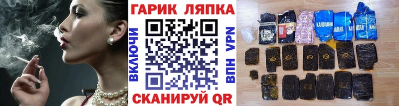 дарнет шоп  Жердевка  ГАШ Premium 