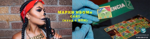 шишки Абинск