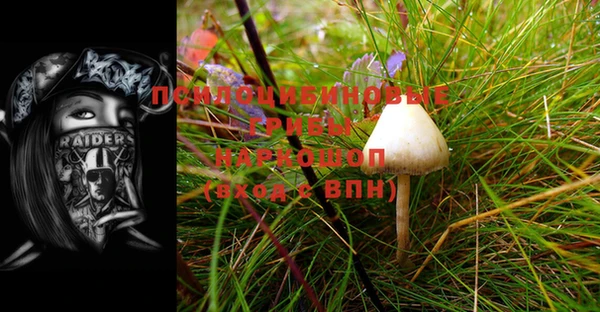 шишки Абинск