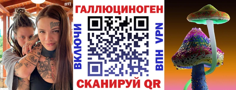 Галлюциногенные грибы Psilocybe  Жердевка 